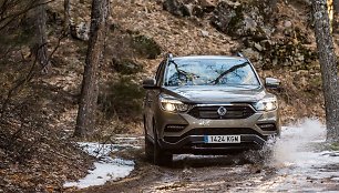 „Ssangyong Rexton“