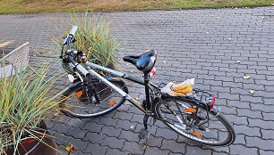 Bylos įkalčiai