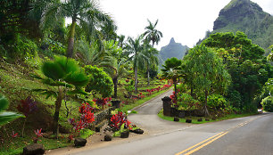 Pasakiška Kauai sala Havajuose