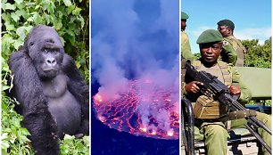 Žygis per Kongo DR: skystos lavos ežeras, retos gorilos ir iki jų lydinti apsauga su kulkosvaidžiais