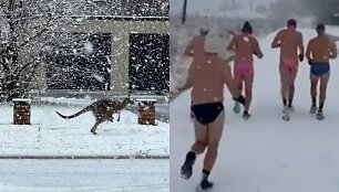 Sniegas Australijoje