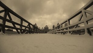 Trakų pilis