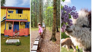 Atradimas kelionėms su vaikais &ndash; Jonava: net nepagalvotumėte, kiek čia įdomybių