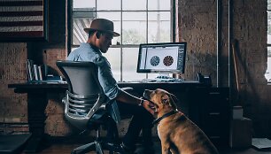 Dizaineris ir jo &scaron;uo