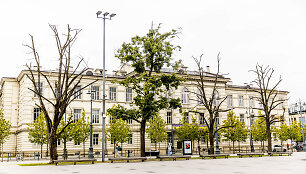 Luki&scaron;kių aik&scaron;tėje nudžiūvusios liepos