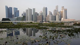 Singapūras – ant nedidelės salos išaugęs megapolis