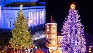 Vilniaus ir Kauno kalėdinės eglės