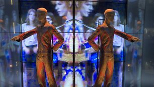 Paroda &bdquo;David Bowie is crossing the border&ldquo;