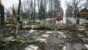 Temos iliustracija