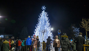 Panevėžys pristatė savo Kalėdų eglę