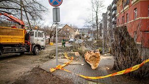 Stipraus vėjo padariniai Vilniaus mieste ir apylinkėse