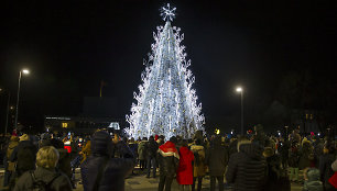 Panevėžys pristatė savo Kalėdų eglę