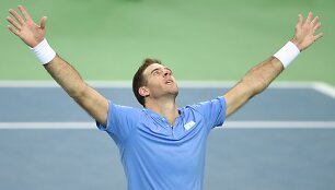Juanas Martinas del Potro įspūdingame Daviso taurės trileryje patiesė Mariną Čiličių