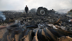 Lėktuvo MH17 nuolaužos