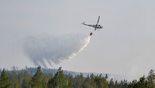 Mi&scaron;kų gaisrai &Scaron;vedijoje