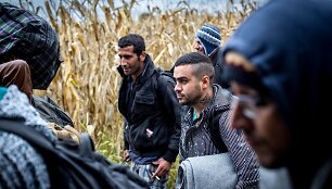 Migrantai Serbijos - Kroatijos pasienyje