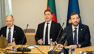 Socialdemokratų partijos, Lietuvos valstiečių ir žaliųjų sąjungos bei Demokratų sąjungos &bdquo;Vardan Lietuvos&ldquo; atstovų derybos 