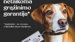 Gyvūnas ne dovana 