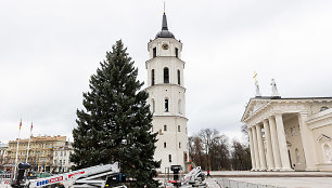 Vilniuje pradėta statyti Kalėdų eglutė