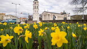 Vilnius
