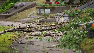 Audros padariniai Sapiegų parke ir Antakalnio kapinėse