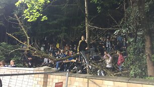 Sirgaliai už LFF stadiono tvoros