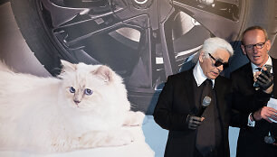Karlo Lagerfeldo augintinė Choupette
