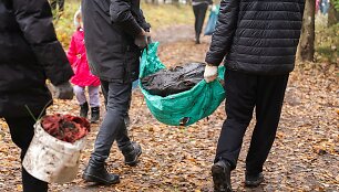 Statybinės atliekos gamtoje