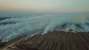 Vakarų Latvijoje antra diena gesinamas didelis miško ir durpyno gaisras