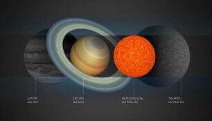Naujai atrastos žvaigždės dydžio palyginimas su Saulės sistemos planetomis ir TRAPPIST-1