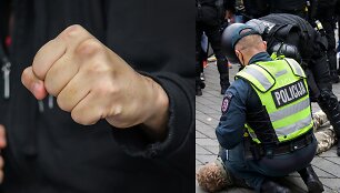 Mu&scaron;tynės, policija