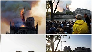 Paryžiaus Dievo Motinos katedra: 2019 m. gaisras ir 2020 m. balandis