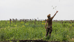Ukrainos 80-os brigados karių žvalgybos operacija vir&scaron; Bachmuto