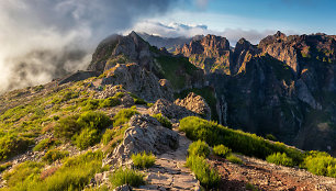 Madeira