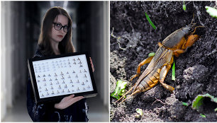 Entomologė Radvilė Markevičiūtė