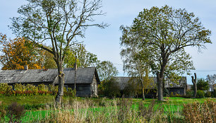 Žybartų kaimas (Radviliškio r.)