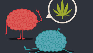 Marihuanos poveikis smegenims