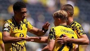 Dortmundo &bdquo;Borussia&ldquo; žaidėjai