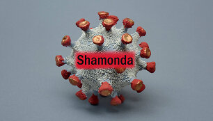 &bdquo;Shamonda&ldquo; virusas/ Iliustratyvinė nuotr.