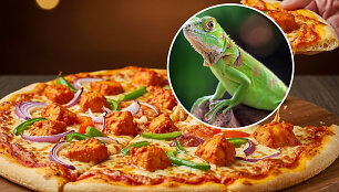 Floridos picerija pagamino picą su iguanos mėsa