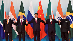 BRICS (Brazilija, Rusija, Indija, Kinija, Pietų Afrika) grupės susitikimas