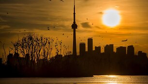 Torontas