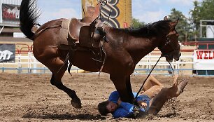 Rodeo varžybos Kalagaryje
