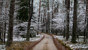 Lengva sniego paklotė apdengė Neries regioninį parką