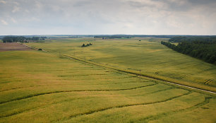 Tytuvėnų apžvalgos bokštas