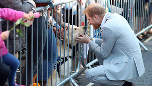 Princas Harry