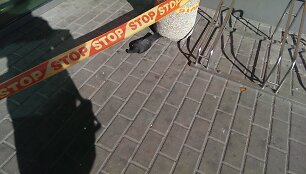 STOP juosta