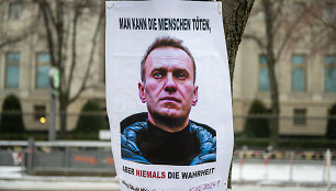 Aleksejus Navalnas / dpa/picture-alliance