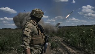 Ukrainos karys