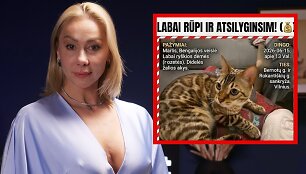 Rasa Vilkienė